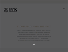 Tablet Screenshot of fbits.ru